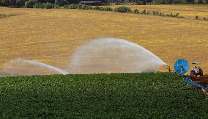 Foto: Gilson Abreu/Arquivo AEN Produtores paranaenses iniciam plantio da safra de verão pelo milho e batata